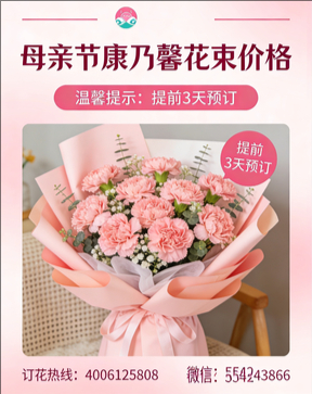镇江润州花店母亲节康乃馨花束