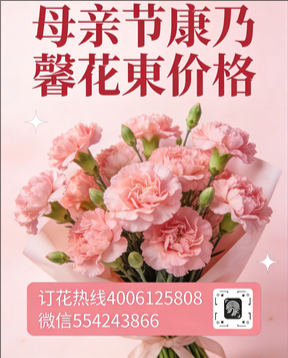 镇江润州花店母亲节康乃馨花束